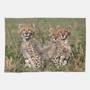 Africa; Kenya; Masai Mara; Three cheetah cubs Kitchen Towel