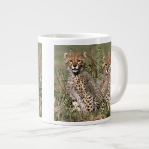 Africa; Kenya; Masai Mara; Three cheetah cubs Large Coffee Mug