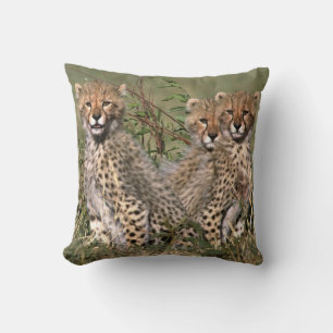 Africa; Kenya; Masai Mara; Three cheetah cubs Throw Pillow