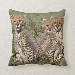 Africa; Kenya; Masai Mara; Three cheetah cubs Throw Pillow