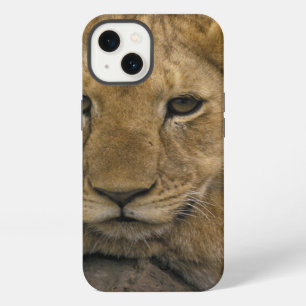 Africa, Kenya. Portrait of a lion. iPhone 13 Case
