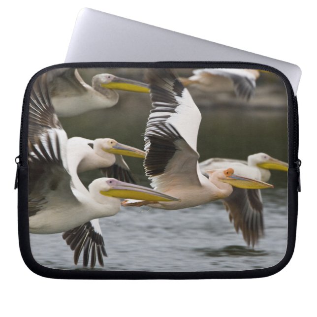 Africa. Kenya. White Pelicans in flight at Lake Laptop Sleeve (Front)