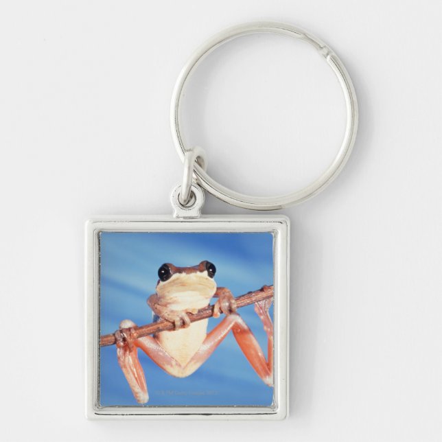 Africa Keychain (Front)