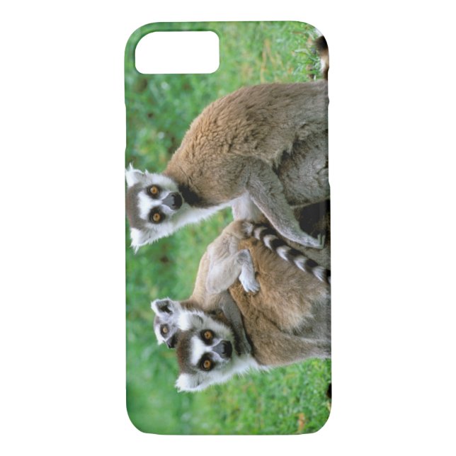 Africa, Madagascar, Antananarivo, Tsimbazaza Case-Mate iPhone Case (Back)