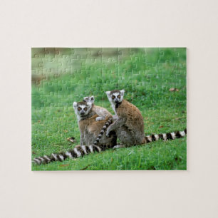 Africa, Madagascar, Antananarivo, Tsimbazaza Jigsaw Puzzle