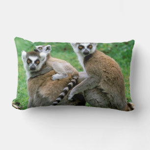 Africa, Madagascar, Antananarivo, Tsimbazaza Lumbar Pillow