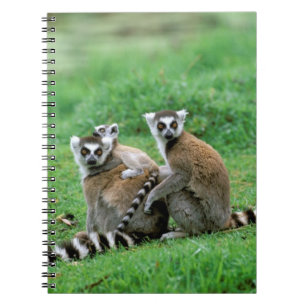 Africa, Madagascar, Antananarivo, Tsimbazaza Notebook