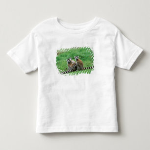 Africa, Madagascar, Antananarivo, Tsimbazaza Toddler T-shirt