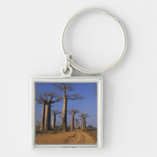 Africa, Madagascar, Morondava, Baobab Avenue. Keychain