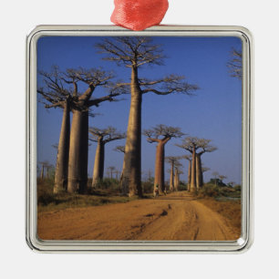 Africa, Madagascar, Morondava, Baobab Avenue. Metal Ornament