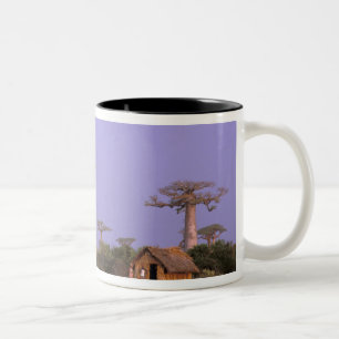 Africa, Madagascar, Morondava. Baobabs Two-Tone Coffee Mug