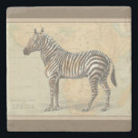 Africa Map and a Zebra Stone Coaster<br><div class="desc">This piece of artwork will please any world traveller and animal lover. The background represents the map of Africa and there is a picture of a zebra on top of it. In this image,  the borders makes it the perfect decorative art piece.</div>