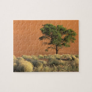 Africa, Namibia, Namib National Park, Sossusvlei Jigsaw Puzzle