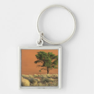 Africa, Namibia, Namib National Park, Sossusvlei Keychain