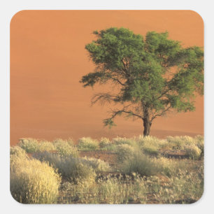 Africa, Namibia, Namib National Park, Sossusvlei Square Sticker