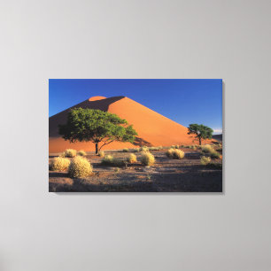 Africa, Namibia, Namib-Naukluff Park, Sossosvlei Canvas Print