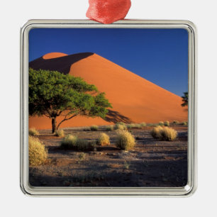 Africa, Namibia, Namib-Naukluff Park, Sossosvlei Metal Ornament