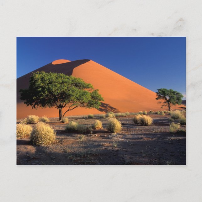Africa, Namibia, Namib-Naukluff Park, Sossosvlei Postcard (Front)