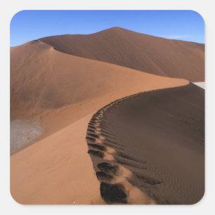 Africa, Namibia, Namib Naukluft National Park, 2 Square Sticker