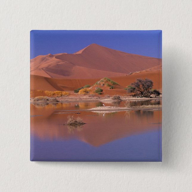 Africa, Namibia. Namib-Naukluft Park. 2 Inch Square Button (Front)