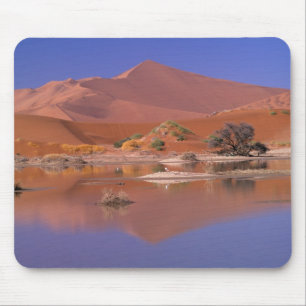 Africa, Namibia. Namib-Naukluft Park. 2 Mouse Pad
