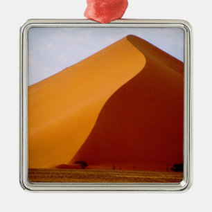 Africa, Namibia, Naukluft National Park, 2 Metal Ornament