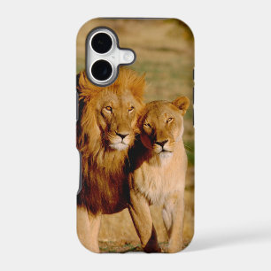 Africa, Namibia, Okonjima. Lion & lioness