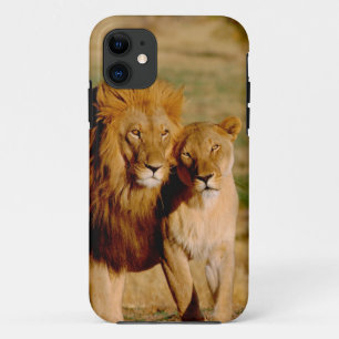 Africa, Namibia, Okonjima. Lion & lioness iPhone 11 Case