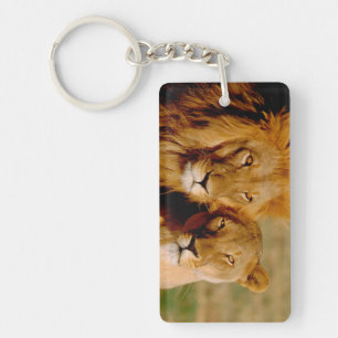 Africa, Namibia, Okonjima. Lion & lioness Keychain