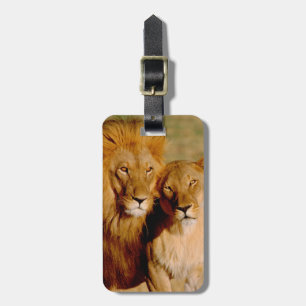Africa, Namibia, Okonjima. Lion & lioness Luggage Tag
