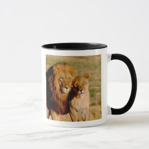 Africa, Namibia, Okonjima. Lion & lioness Mug