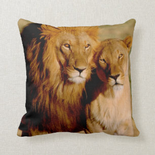 Africa, Namibia, Okonjima. Lion & lioness Throw Pillow