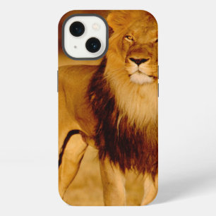 Africa, Namibia, Okonjima. Lone male lion iPhone 13 Case