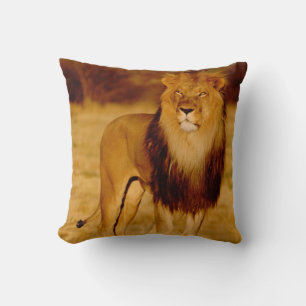 Africa, Namibia, Okonjima. Lone male lion Throw Pillow