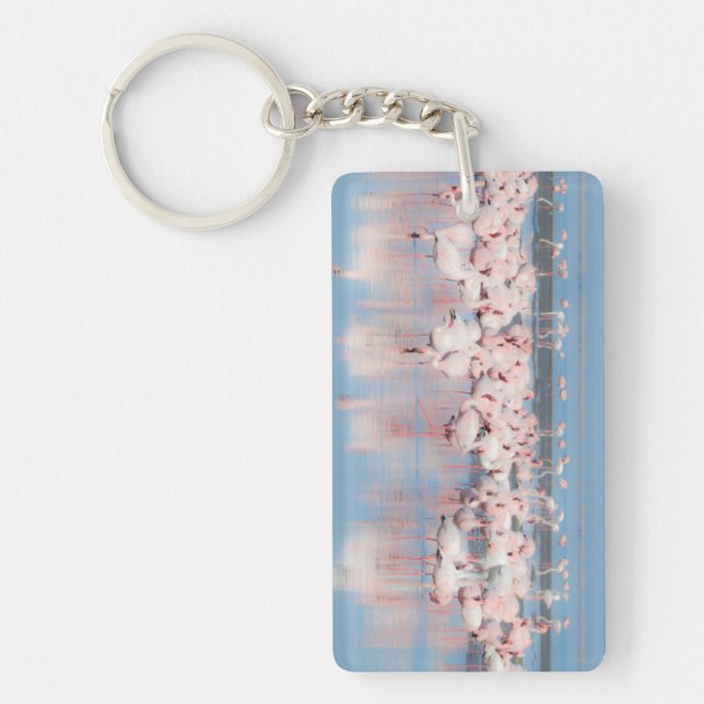 Africa, Namibia, Walvis Bay Keychain (Front)