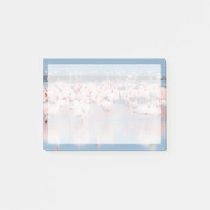Africa, Namibia, Walvis Bay Post-it Notes