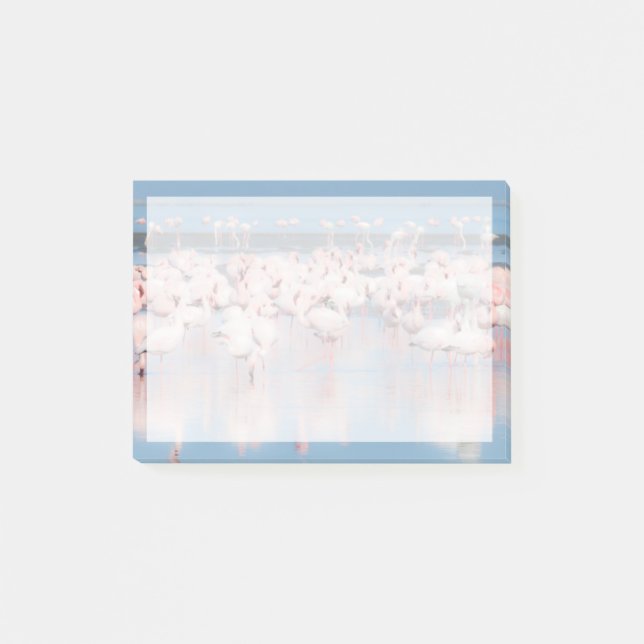 Africa, Namibia, Walvis Bay Post-it Notes (Front)