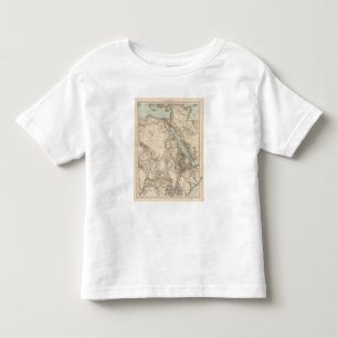 Africa NE Toddler T-shirt