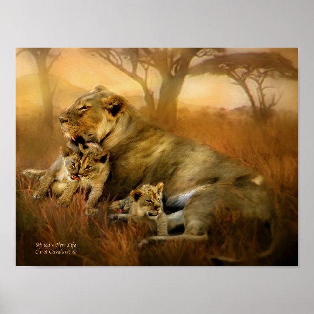 Africa - New Life Art Poster/Print Poster (Front)