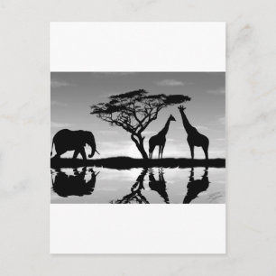 Africa Postcard