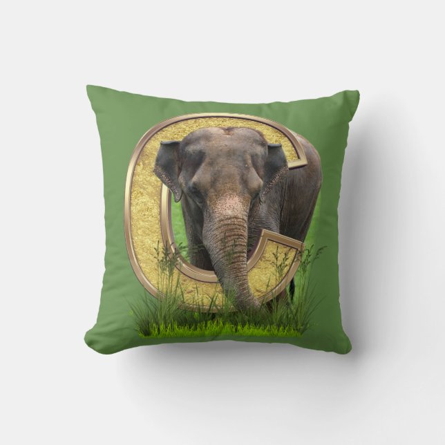 Africa-Safari Wildlife-Art Capital C Throw Pillow (Front)