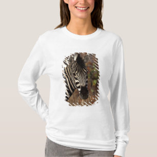Africa, South Africa, Kruger NP Zebra portrait T-Shirt