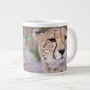 Africa, South Africa, Tswalu Reserve. Cheetahs Large Coffee Mug