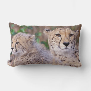 Africa, South Africa, Tswalu Reserve. Cheetahs Lumbar Pillow