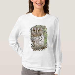 Africa. Tanzania. African Scops Owl at Tarangire 2 T-Shirt