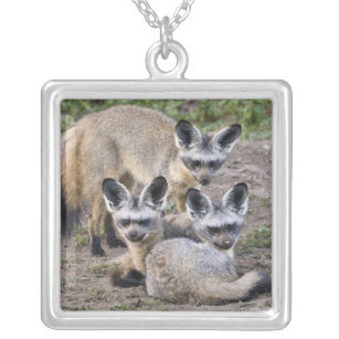 Africa. Tanzania. Bat-Eared Foxes at Ndutu in Silver Plated Necklace