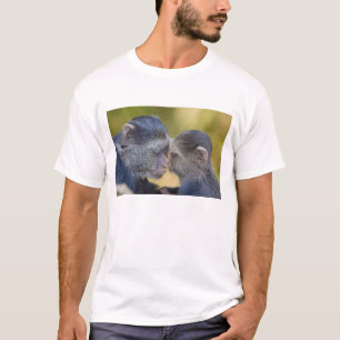 Africa. Tanzania. Blue Monkey mother with young T-Shirt