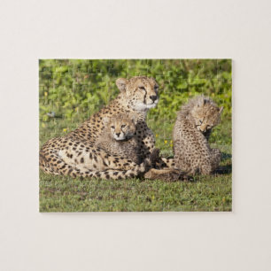 Africa. Tanzania. Cheetah mother and cubs 2 Jigsaw Puzzle