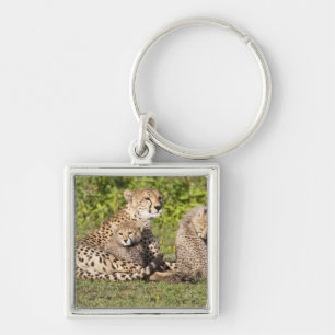 Africa. Tanzania. Cheetah mother and cubs 2 Keychain