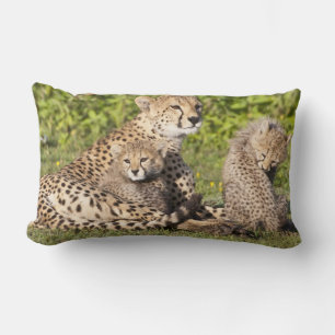 Africa. Tanzania. Cheetah mother and cubs 2 Lumbar Pillow